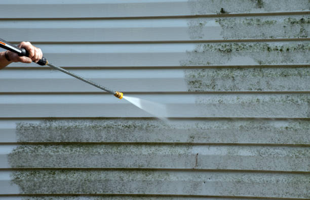 Mold Testing and Removal in Richlands, VA