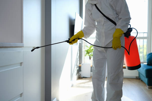 Best Local Mold Removal Service  in Richlands, VA