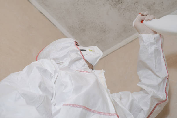 Best Residential Mold Removal  in Richlands, VA