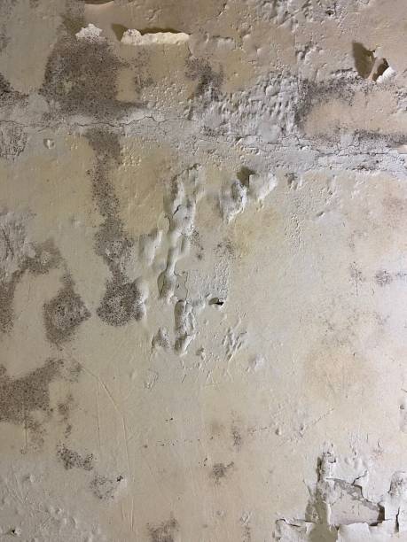 Best Water Damage Restoration  in Richlands, VA